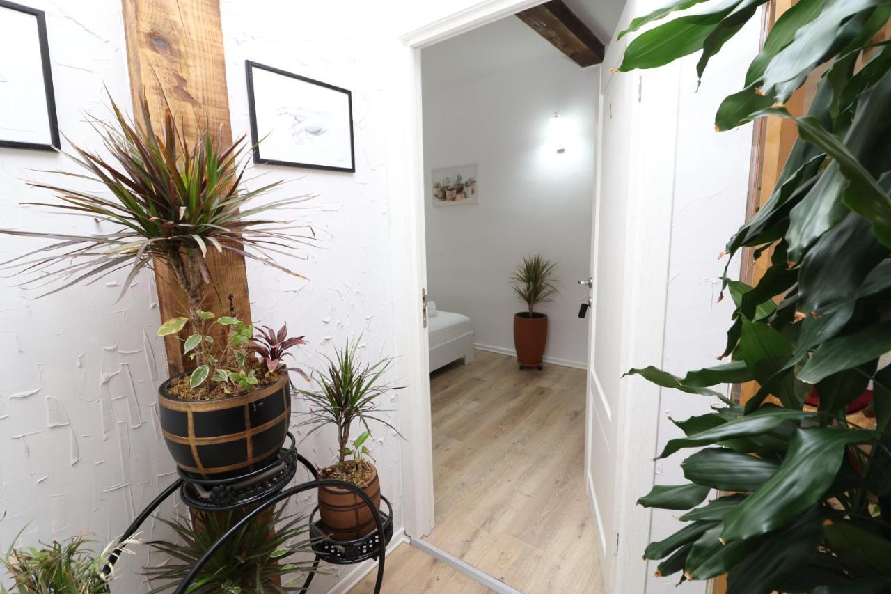 Gaia Bed & Breakfast วญอเรอ ภายนอก รูปภาพ